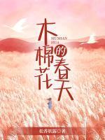 木棉花的春天是台湾剧吗